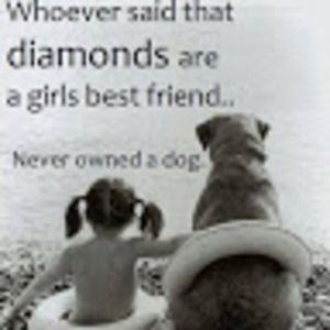 Meet your Posher, Tara